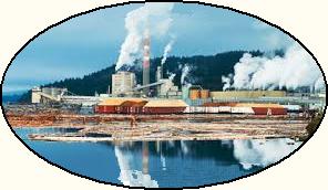 Pulp mill Pulp mill