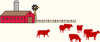 cattle grazing, bull approaching